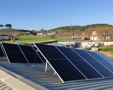 Paneles solares monocristalinos vs policristalinos