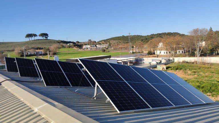 paneles fotovoltaicos