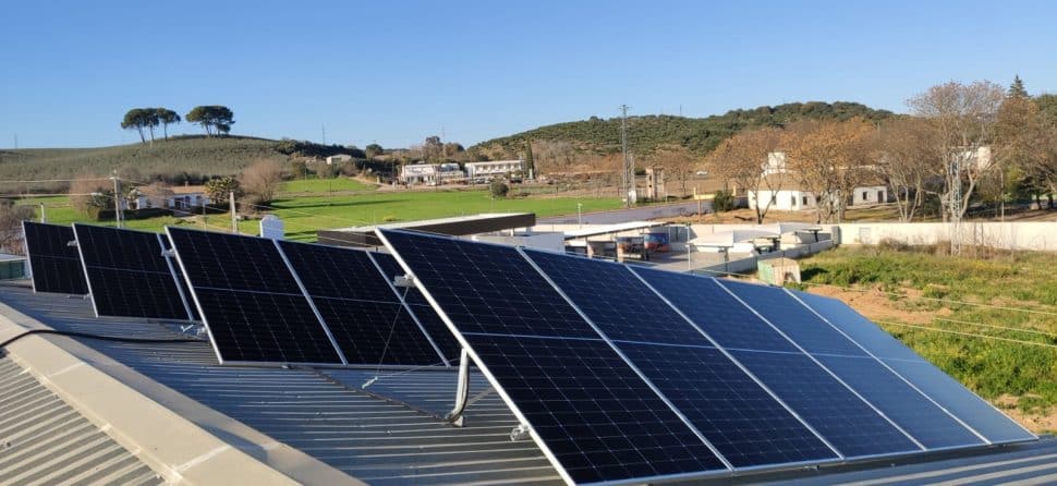 Paneles solares monocristalinos vs policristalinos
